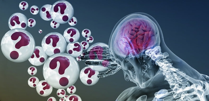 du métabolisme basal, de la dépense énergétique au repos et des facteurs influençant le BMR (âge, sexe, masse musculaire, hormones, etc.)